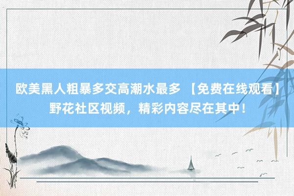 欧美黑人粗暴多交高潮水最多 【免费在线观看】野花社区视频，精彩内容尽在其中！