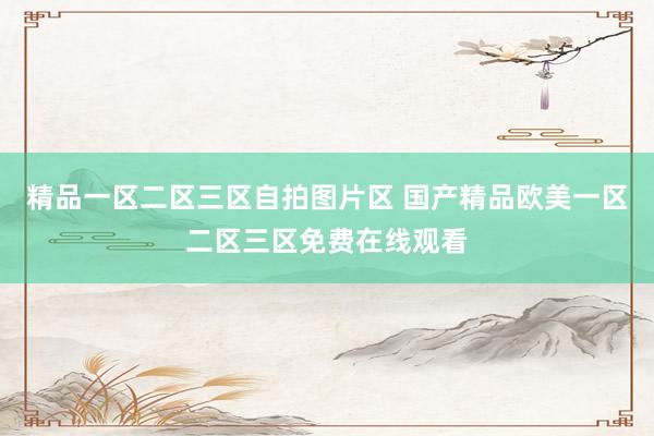精品一区二区三区自拍图片区 国产精品欧美一区二区三区免费在线观看