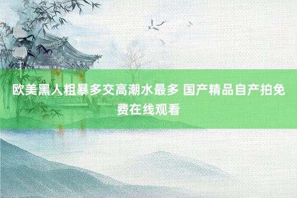 欧美黑人粗暴多交高潮水最多 国产精品自产拍免费在线观看