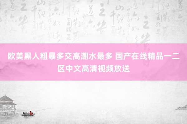 欧美黑人粗暴多交高潮水最多 国产在线精品一二区中文高清视频放送