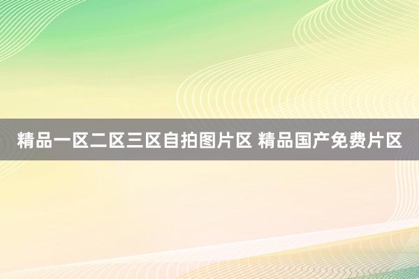 精品一区二区三区自拍图片区 精品国产免费片区
