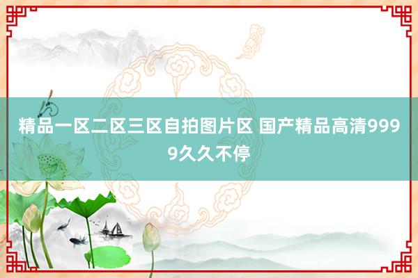 精品一区二区三区自拍图片区 国产精品高清9999久久不停