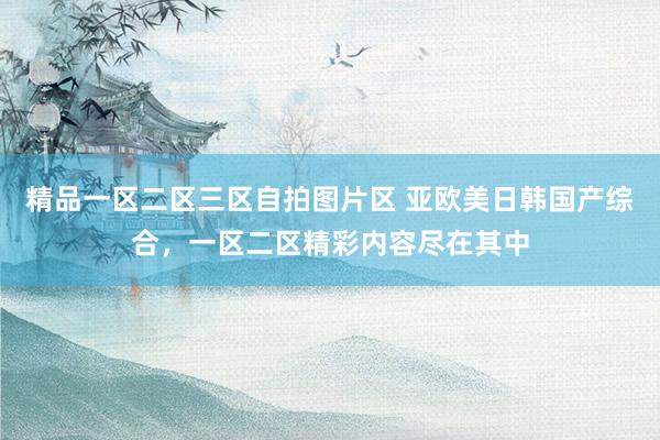 精品一区二区三区自拍图片区 亚欧美日韩国产综合，一区二区精彩内容尽在其中