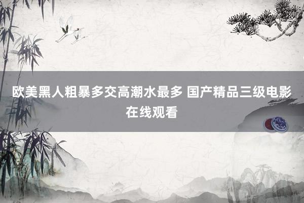 欧美黑人粗暴多交高潮水最多 国产精品三级电影在线观看