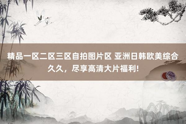 精品一区二区三区自拍图片区 亚洲日韩欧美综合久久，尽享高清大片福利!