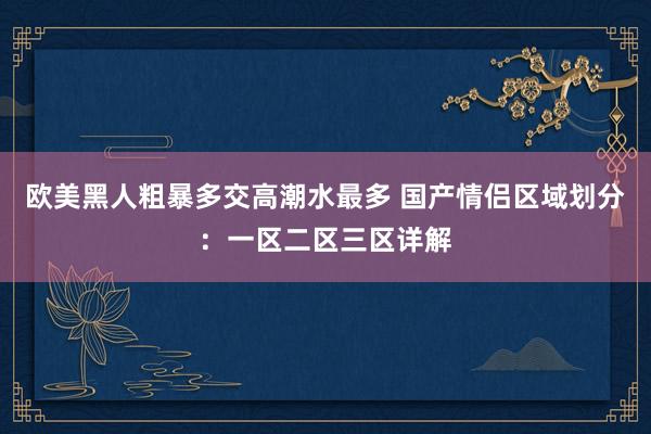 欧美黑人粗暴多交高潮水最多 国产情侣区域划分：一区二区三区详解
