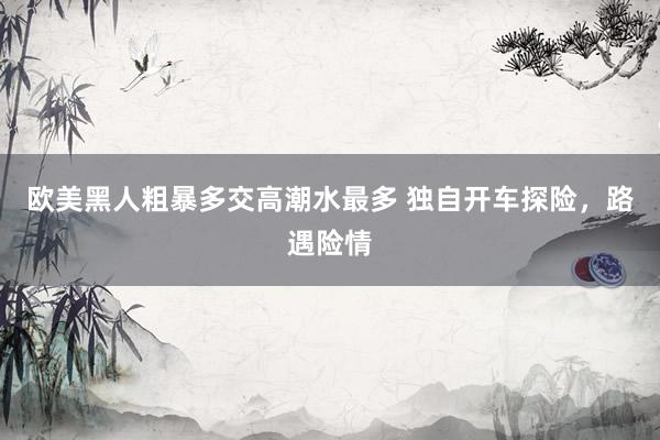 欧美黑人粗暴多交高潮水最多 独自开车探险，路遇险情