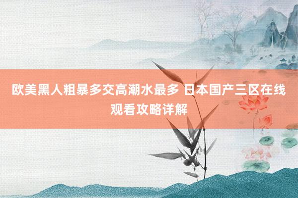 欧美黑人粗暴多交高潮水最多 日本国产三区在线观看攻略详解