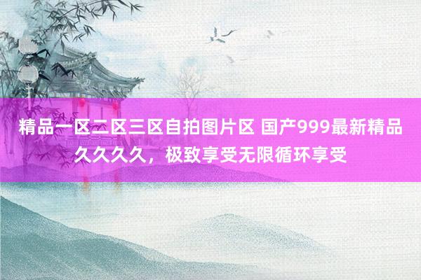 精品一区二区三区自拍图片区 国产999最新精品久久久久，极致享受无限循环享受