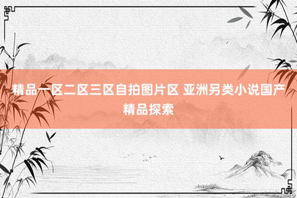精品一区二区三区自拍图片区 亚洲另类小说国产精品探索