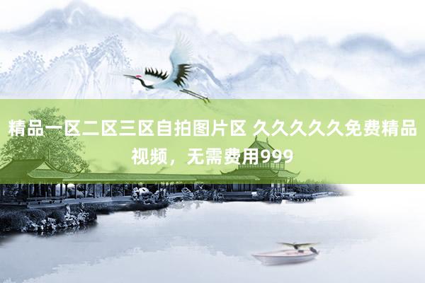精品一区二区三区自拍图片区 久久久久久免费精品视频，无需费用999