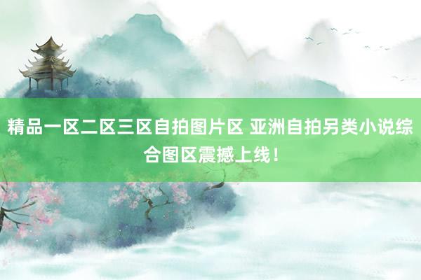 精品一区二区三区自拍图片区 亚洲自拍另类小说综合图区震撼上线！