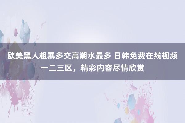 欧美黑人粗暴多交高潮水最多 日韩免费在线视频一二三区，精彩内容尽情欣赏