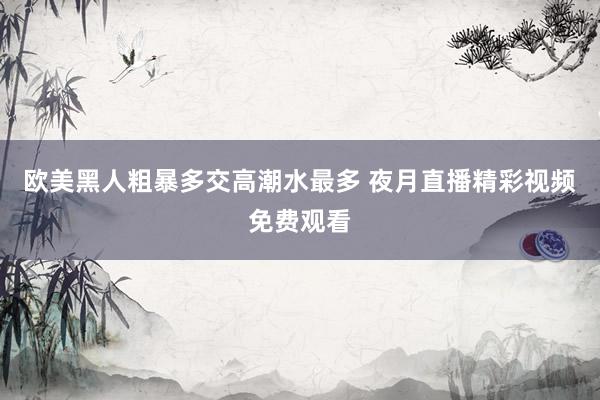 欧美黑人粗暴多交高潮水最多 夜月直播精彩视频免费观看