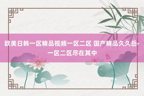 欧美日韩一区精品视频一区二区 国产精品久久岳-一区二区尽在其中