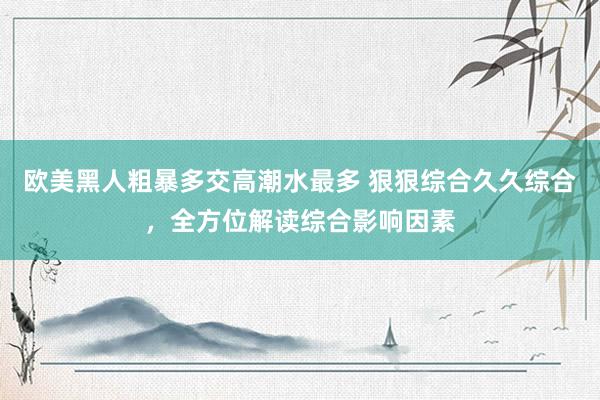 欧美黑人粗暴多交高潮水最多 狠狠综合久久综合，全方位解读综合影响因素