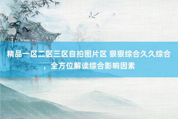 精品一区二区三区自拍图片区 狠狠综合久久综合，全方位解读综合影响因素